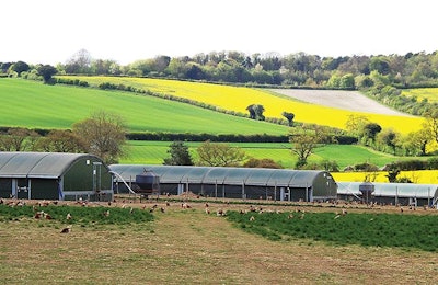 As consumer demand for products grew, organic European feed producers felt the strain as pressure on the organic grain supply chain increased. | Humphrey Feeds and Pullets
