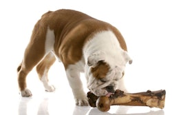 Photo by Willee Cole | BigStock.com