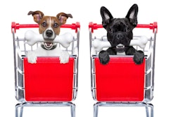 (Javier Brosch | Bigstock.com)