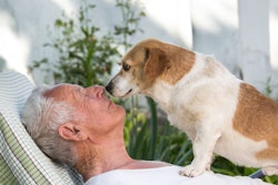 (budabar | BigStock.com)