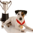 image by Willee Cole, BigStockPhoto