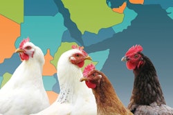 Liliya, Bigstock.com and dikobrazik, Fotolia.com