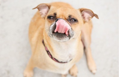 (annette shaff | Fotolia.com)