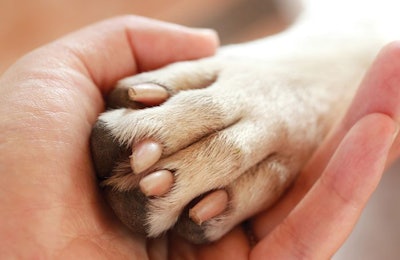 photo by TierneyMJ, Shutterstock.com