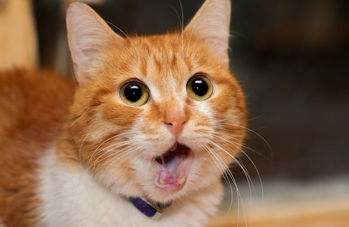 photo by tverkhovinets, BigStock.com