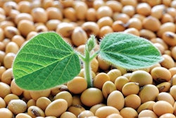 UrosPoteko, iStockPhoto.com