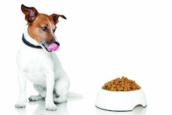 Javier Brosch | Shutterstock.com