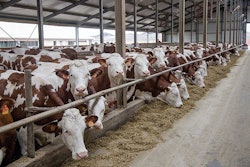 The foregut houses an ecosystem of anaerobic microbes that allow the ruminant to obtain nutrients from fibrous plant-based materials and the microbes themselves. | Vladimir Zapletin