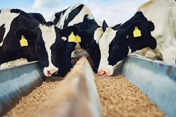 PeopleImages | iStock.com