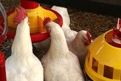 The unexpected results of a study investigating rice bran as a feed ingredient suggest common milling practices deserve a second look, one researcher says. (Boggy | Fotolia.com)