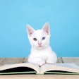 (Sheila F | Bigstock.com)