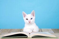 (Sheila F | Bigstock.com)