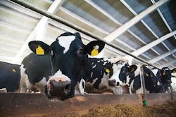 Grigorenko, iStock.com