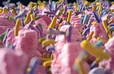 Anatomy Insider | Bigstock.com