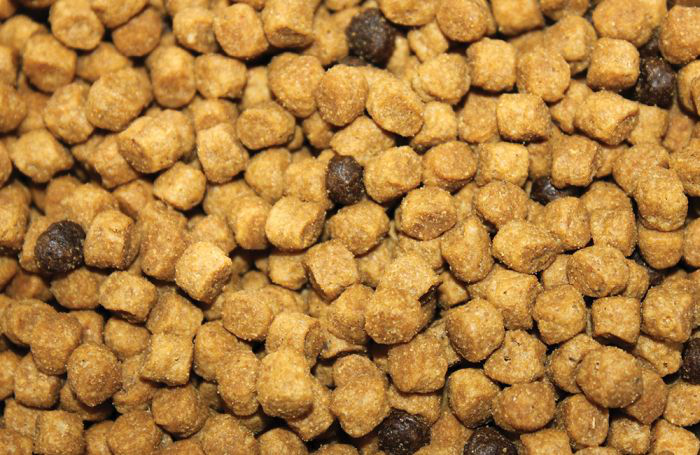 Photo by Andrea Gantz