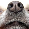 (bimka | Shutterstock.com)
