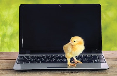 From start to finish, a better understanding of what is actually happening during production can help producers adjust their management. | Pshenina_m, Shutterstock.com