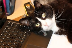 photo by Andrea Gantz