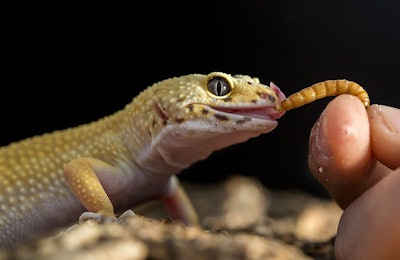 photo by MattiaATH, BigStock.com