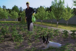 The multiple perceptions surrounding the idea of “clean label” in pet food makes this current trend a hot topic in the pet food industry. (VadosLoginov | shutterstock.com)