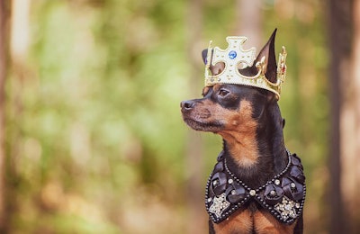 (Wildstrawberry | BigStock.com)