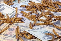 (Hamsterman , BigStock.com)