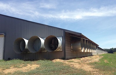 Caption: Properly utilizing the fans to control air flow and temperature is essential to keeping birds comfortable in hot temperatures. (Dennis Brothers)