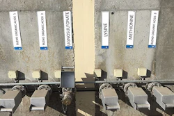 Liquid products are stored in tanks in the same warehouse and transferred directly to feed production. (Courtesy Adisseo)