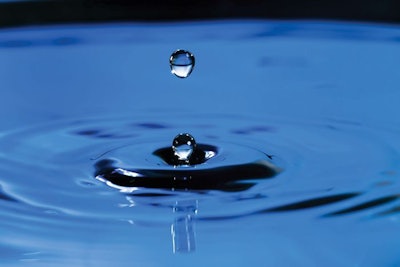 Water is an essential part of poultry growing and it deserves close scrutiny. (Nutlegal | Bigstock.com)