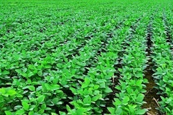 0a309510bfa577f7ba9f919bc3959865_clientImage_300x199_medium_original_1