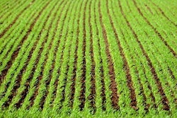 0bf8933bb5a83ccd1d6f48cddbb6750a_clientImage_300x200_medium_original_1