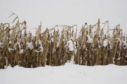 1102FMsnowcrops