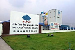 1203FIthai1