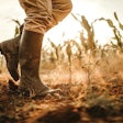 2018-EU-drought-impacts-feed