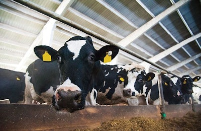 2019-global-dairy-outlook-feed-production-exports