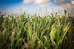 34c2d226cf89715deb3fc0fbfd1ef250_clientImage_300x200_medium_original_1