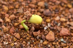 3ef7e14b607d797990a2ee651aec1e99_clientImage_300x199_medium_original_1