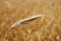 5d8cf891e75b63214326753da5a86b7c_clientImage_300x174_medium_original_1