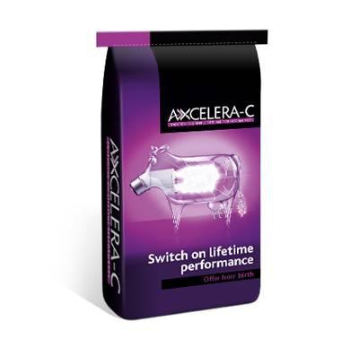 AB-Neo-Axcelera-C-lactose-accelerator-for-calves