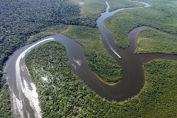 Amazon-rainforest
