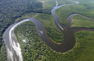 Amazon-rainforest
