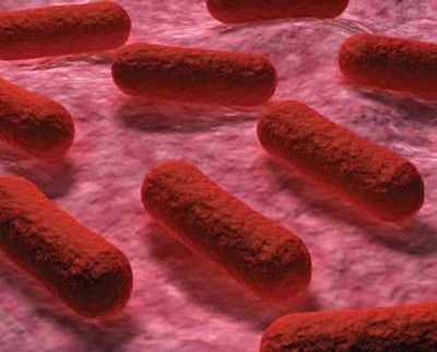 Antibiotic-resistant-ecoli-1502FIAnimalHealth1