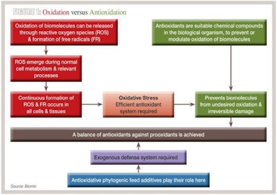 Antioxidants, Free Full-Text