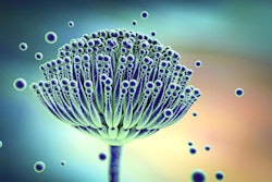 Aspergillus-mycotoxin