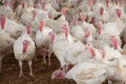 Avian-flu-control-zone