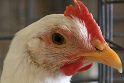 Avian-influenza-Iowa-quarantines1