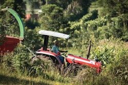 Brazilian-poultry-feed-1608BrazilanFeed