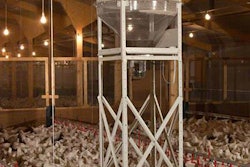 Collinson-Spin-broiler-feeding-system