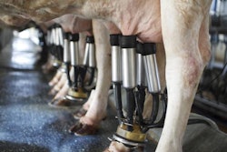 Dairy-cow-heat-stress-1605AnimalHealth1