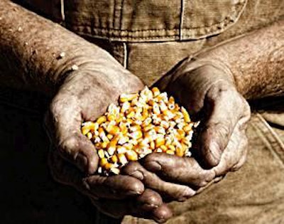 Corn and Farmer’s Hands